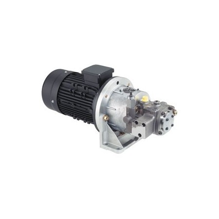 Motor / pump assemblies Type ABHPG-V7