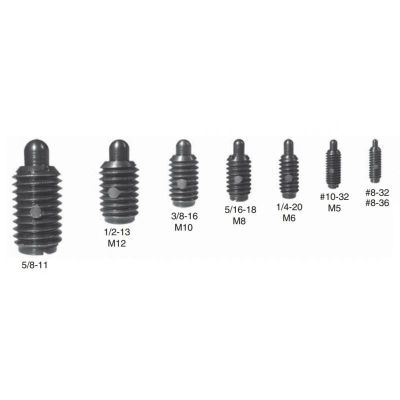 Size Comparison 